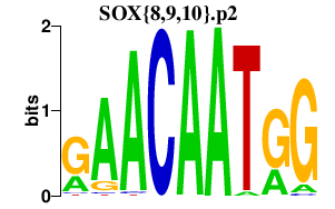logo of SOX{8,9,10}.p2